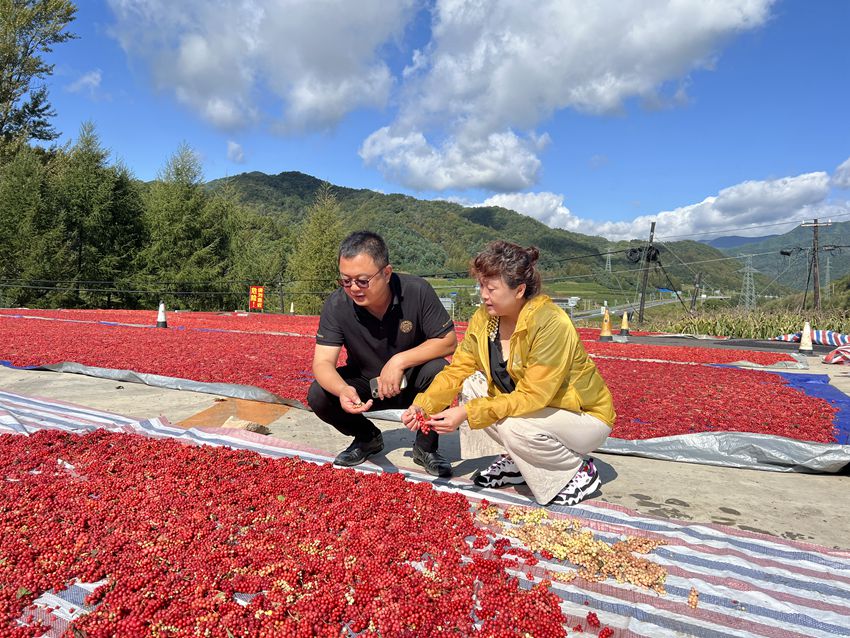 金沙威尼斯欢乐娱人城脚踏泥土身沾露珠 奋力绘就乡村振兴壮美画卷(图5)