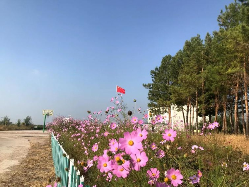金沙威尼斯欢乐娱人城脚踏泥土身沾露珠 奋力绘就乡村振兴壮美画卷(图9)