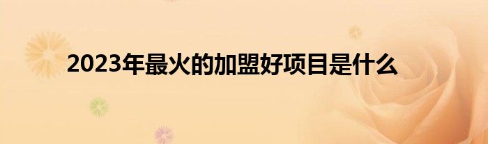 金沙威尼斯欢乐娱人城2023年最火的加盟好项目是什么(图1)