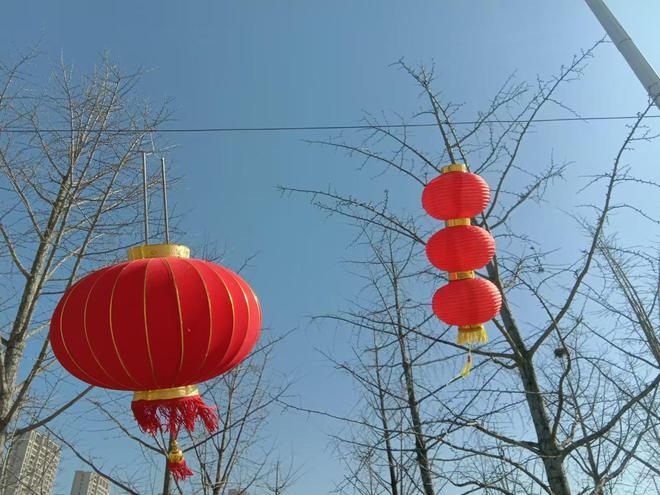 金沙威尼斯现代生态农业园规划方案供有意在三农领域投资的人们参考(图3)
