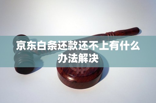 金沙威尼斯京东白条还款还不上有什么办法解决