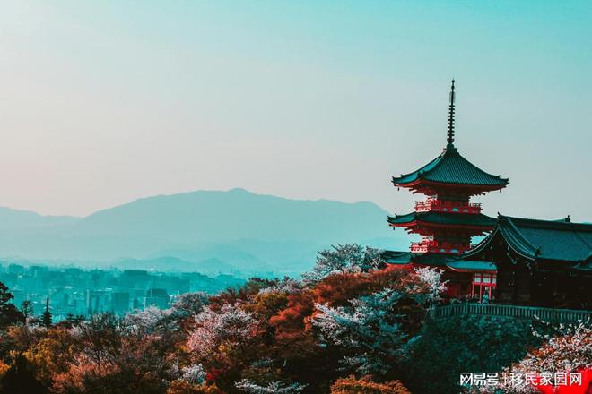 金沙威尼斯欢乐娱人城日本经营管理返签难度上升疑难杂症遇上背调如何自如应对？