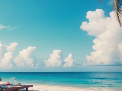 金沙威尼斯欢乐娱人城APEC商务旅行卡申请的攻略：新成立公司容易申请APEC商务(图2)