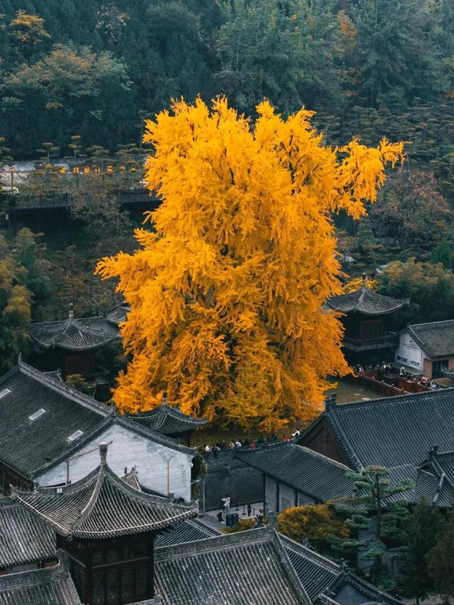 金沙威尼斯欢乐娱人城西安万象城千年古都与华润万象碰撞出的新一代「现象级」重奢商业(图5)