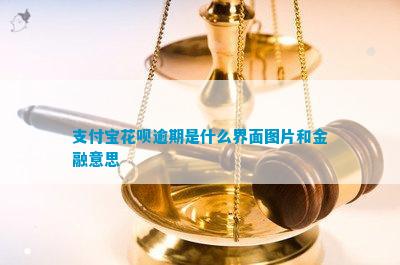 金沙威尼斯欢乐娱人城支付宝信用卡逾期是什么界面图片和金融意思